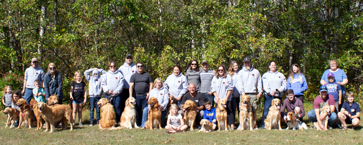 large group of golden retrievers and their owners gathered outdoors