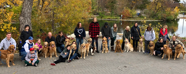 large group of golden retrievers and their owners gathered at a park