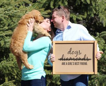 outdoor photo of a couple holding a golden retriever puppy and a Gotcha Day sign