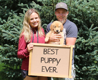 outdoor photo of man and woman holding a golden retriever puppy and a Gotcha Day sign