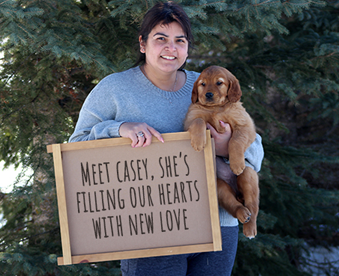 outdoor winter photo of a woman holding a golden retriever puppy and a Gotcha Day sign