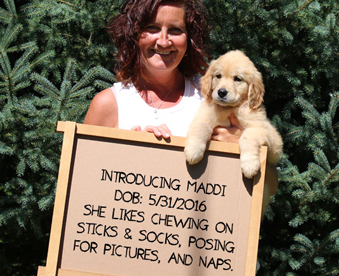 outdoor photo of woman holding a golden retriever puppy and a Gotcha Day sign