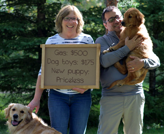 outdoor photo of a couple with a golden retriever puppy, an adult golden retriever, and a Gotcha Day sign