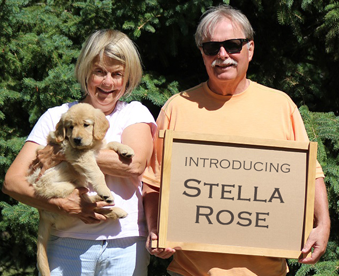 outdoor photo of a couple holding a golden retriever puppy and a Gotcha Day sign