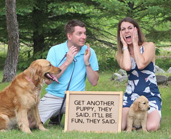 outdoor photo of family with a golden retriever puppy, an adult golden retriever, and a Gotcha Day sign