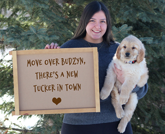 outdoor winter photo of a woman holding a golden retriever puppy and a Gotcha Day sign