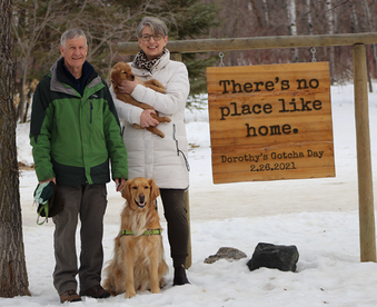 outdoor photo of a couple holding a golden retriever puppy and a Gotcha Day sign; adult golden retriever sitting at their feet