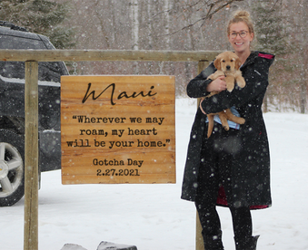 outdoor winter photo of a woman holding a golden retriever puppy and a Gotcha Day sign