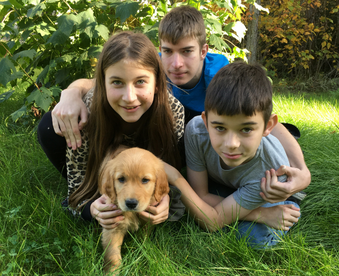 outdoor autumn photo of three children holding a golden retriever puppy and a Gotcha Day sign