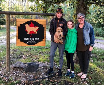 outdoor autumn photo of a family holding a golden retriever puppy and a Gotcha Day sign